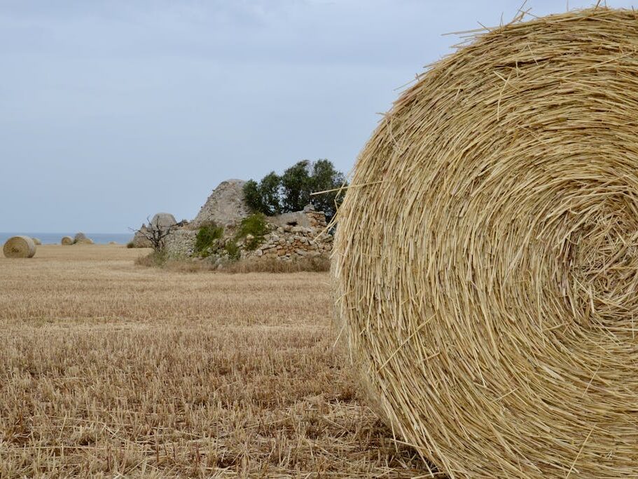 Close-up Photo of Hay Bale