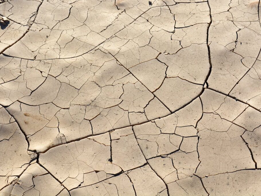 Dry Cracked Land